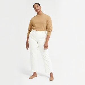 Everlane Cashmere Crop Mockneck Sweater